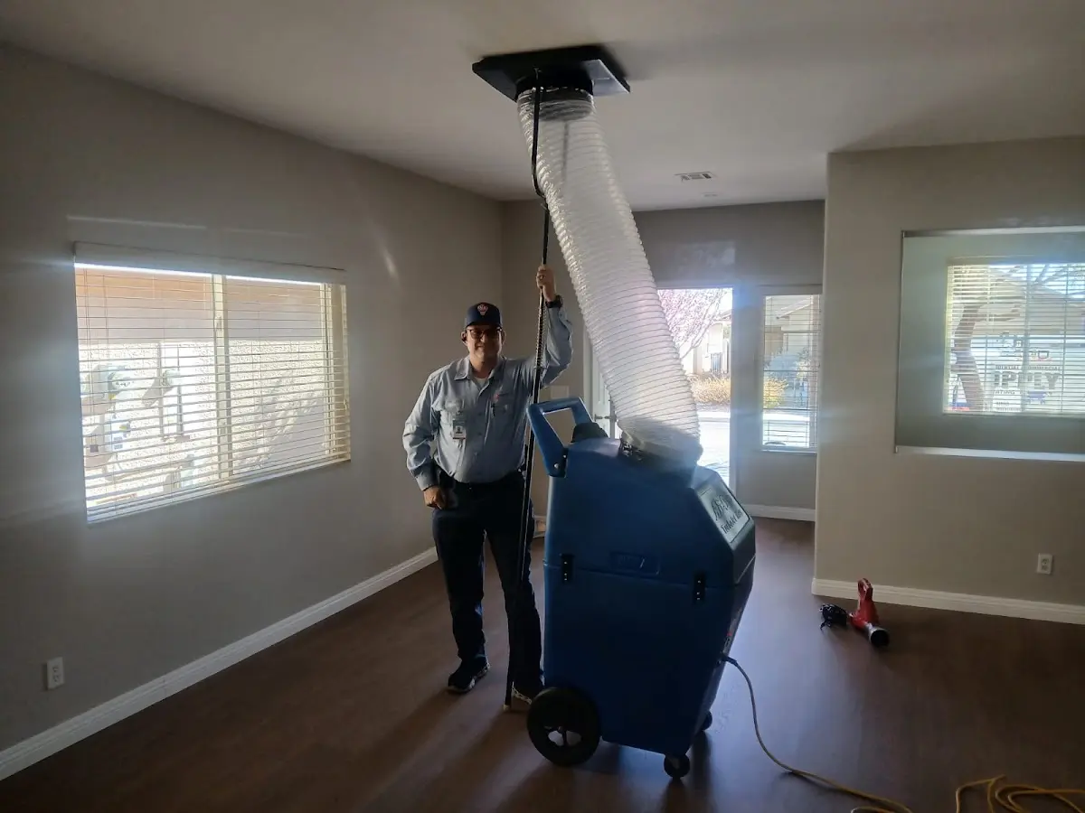 Professional Dryer Vent Cleaning work inside a Lomita home
